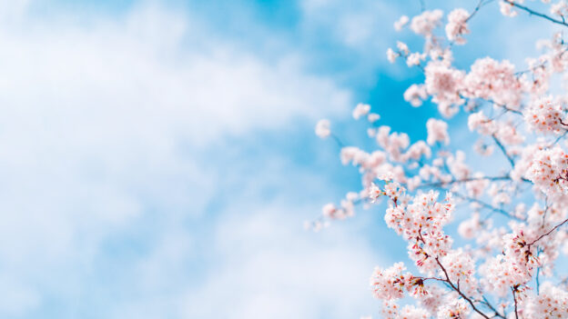 新年度は“身体のバランス”から整える——噛み合わせと姿勢の見直しを